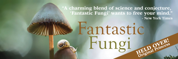 princess---newsletter-banner---600x200---fantastic-fungi.jpg